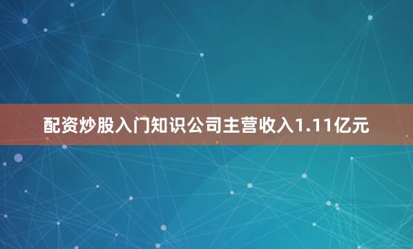 配资炒股入门知识公司主营收入1.11亿元