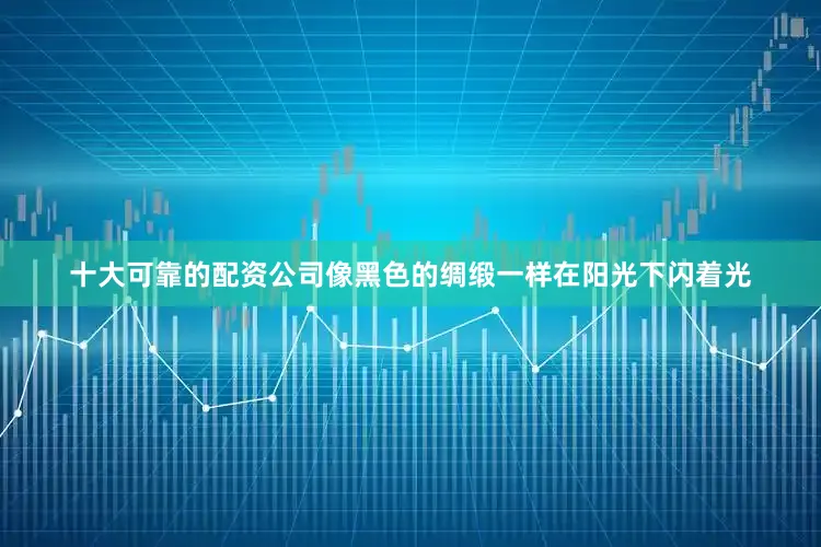 十大可靠的配资公司像黑色的绸缎一样在阳光下闪着光