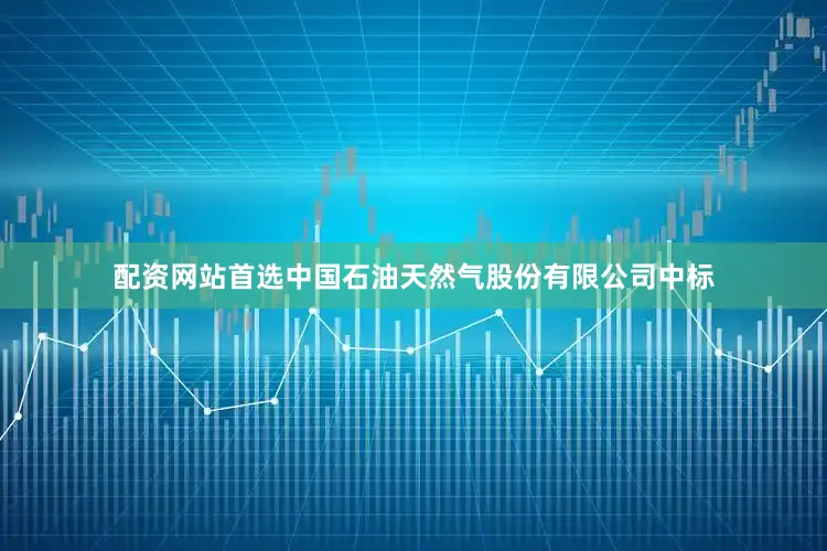 配资网站首选中国石油天然气股份有限公司中标