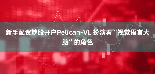 新手配资炒股开户Pelican-VL 扮演着“视觉语言大脑”的角色